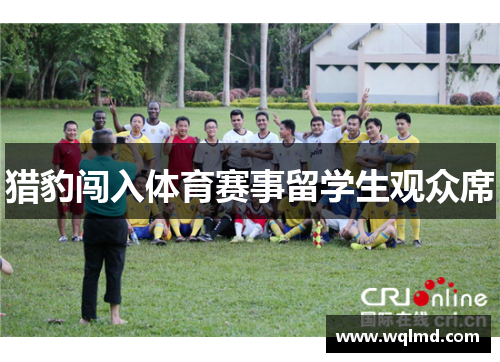 猎豹闯入体育赛事留学生观众席